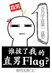 谁拔了我的直男Flag