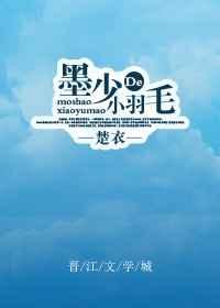 墨少的小羽毛