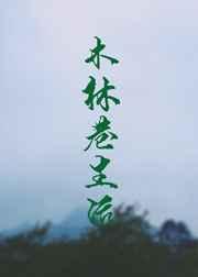 木林巷生活 完结+番外